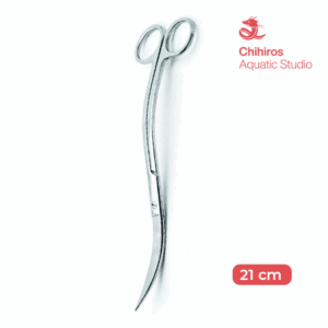 CHIHIROS TIJERAS ONDULADAS