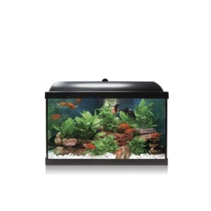KIT AQUA LED PRO NEGRO
