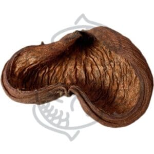 Cáscara de Sterculia