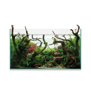 KIT AQUASCAPE