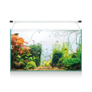 ICA Aqua Light Glass