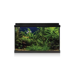 KIT AQUA LED NEGRO