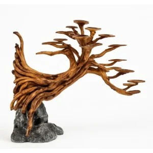 SUPER BONSAI RASAMALA  M