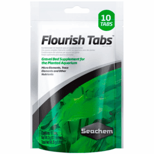 FLOURISH 10 PACK