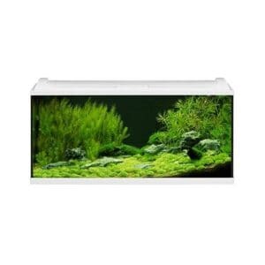 EHEIM AQUAPRO LED 180 100X40X45 BLANCO