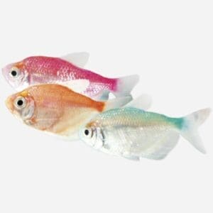 Monjita Color surtido 4-4.5 cm